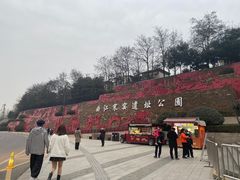 -西安曲江寒窑遗址公园