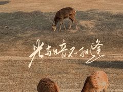 -良渚文化村