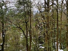 -龙苍沟森林公园