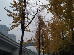 -高庙村(地铁站)