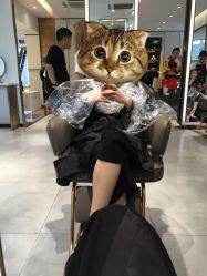 点击看大图 -3AM HAIR SALON烫发染发接发