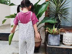 -云里小坐·小院里·团建·宴请·下午茶(三圣乡店)