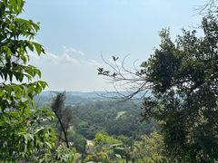 -南宁良凤江国家森林公园