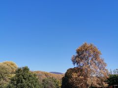 -紫金山山顶公园