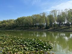 -泰安地下龙宫景区