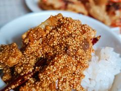 -金鹏鱼肉馆