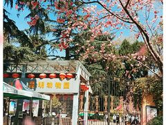 -昆明动物园