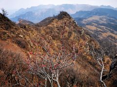 -灵山