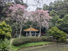 -火炉山森林公园