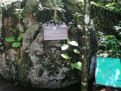 -七仙岭温泉国家森林公园