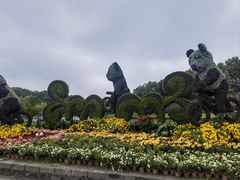 -上海大学(宝山校区)