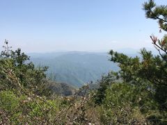 -王顺山国家森林公园