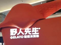 -野人先生现做冰淇淋(北京王府井东方新天地店)