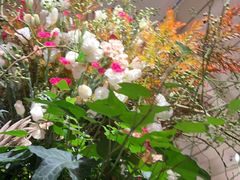-春暖花开(西溪店)
