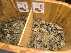 -初色海鲜自助(万丰路店)