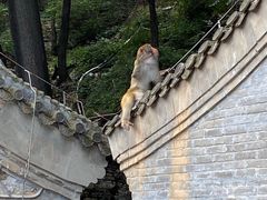 -上方山云水洞