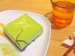 -柴务处·柴犬主题狗咖