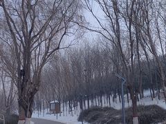 -河北省园博园