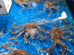 -盒马鲜生(馥邦国际店)