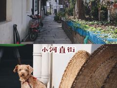 -小河无名面馆