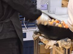 -普宁反沙番薯芋头