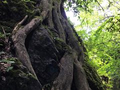 -山王坪喀斯特国家生态公园
