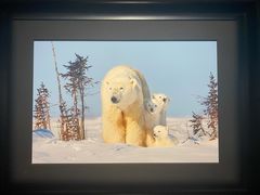 -罗红摄影艺术馆