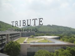 -佘山世茂艾美·御珍轩中餐厅