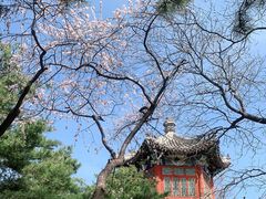 -宣武艺园