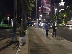 -万绿园