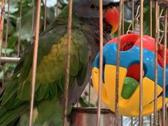 -九尊食上(生态园林酒店)