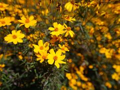 -广州市流溪河国家森林公园