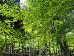 -三千院