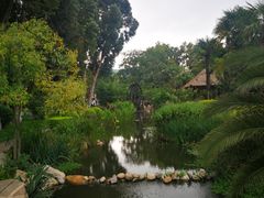-云南民族村