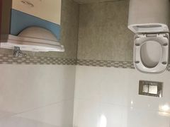 -金山农民画村-枫泾波兰倒置屋