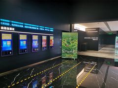 -奥斯卡升龙国际影城(RealD Cinema)