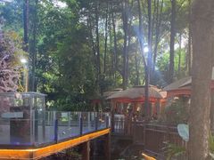 -二荆条·蜀鲜汇城市森林火锅