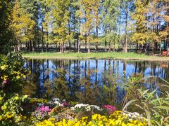 -上海共青森林公园