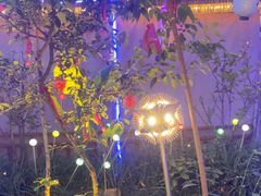 -醉二娘正宗西昌火盆烧烤(大丰店)