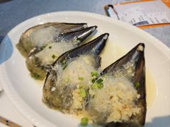 -皮记海鲜1995(寮步店)