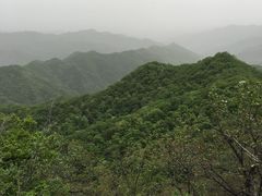 -黄龙山原始森林景区