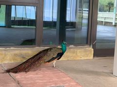 -南京汤山紫清湖生态旅游温泉度假区