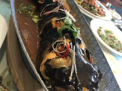 -大胡同天津菜·海肠捞饭·津门皮皮虾锅贴一绝(西姜井店)
