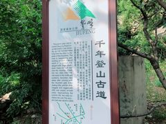 -北京鹫峰国家森林公园