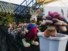 -浔岚云舍mist静谧观景美宿(丽江古城店)