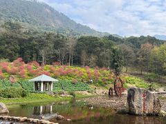 -广州市石门国家森林公园
