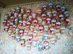 -柴犬高等学院·狗咖·柴犬售卖·宠物训练