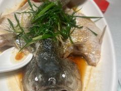 -清心鸡沙田乳鸽店·非遗传承(石溪店)