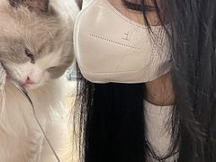 -有喵·猫咖·狗咖·30几只猫10只小狗(岗厦店)