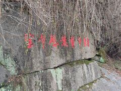 -王顺山国家森林公园
